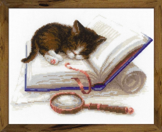 Riolis - Stickbild Kitten on the Book