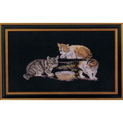 Oehlenschläger - Katzen