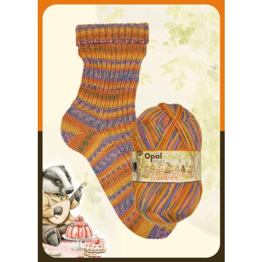 Opal Friendship 6-fach - Lagerfeuerliebe (11565)
