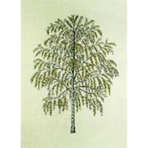 Wirbelbirke - Haandarbejdets Fremme Stickpackung