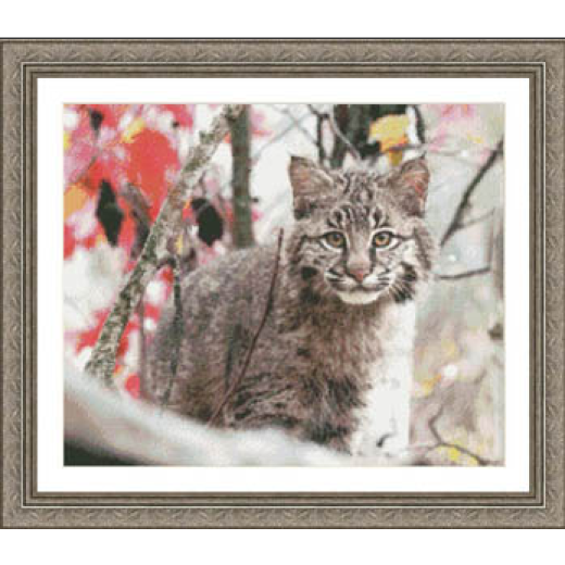 Kustom Krafts - Bobcat Mischief