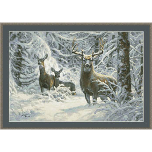 Kustom Krafts - Winter Lace