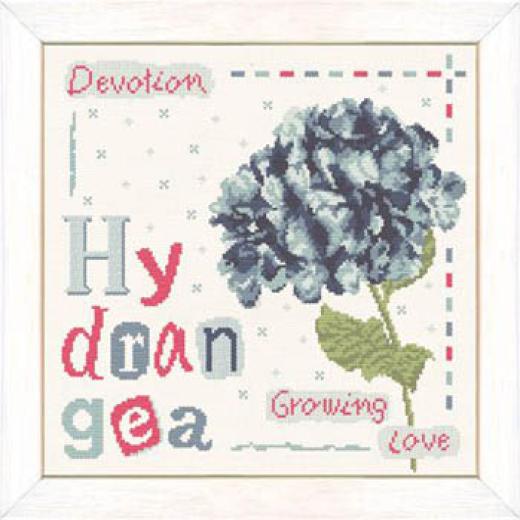 Lilipoints - Hydrangea