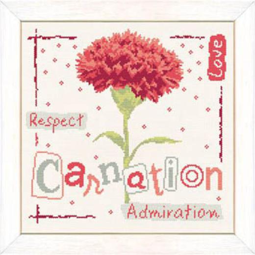 Lilipoints - Carnation