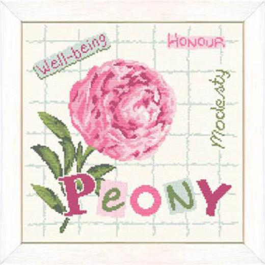 Lilipoints - Peony