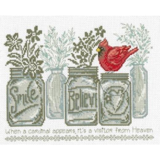 Imaginating - Believe Cardinal