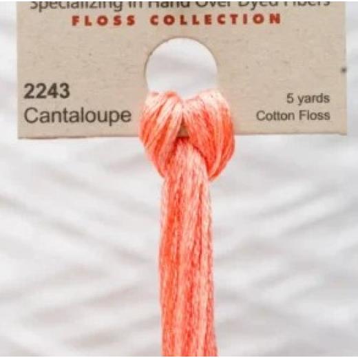 Cantaloupe - Weeks Dye Works