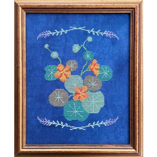 Petal Pusher - Botanical Study Number 3 - Nasturtiums