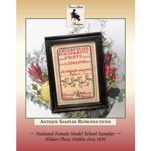 Cross Stitch Antiques - National Female Model School Ireland