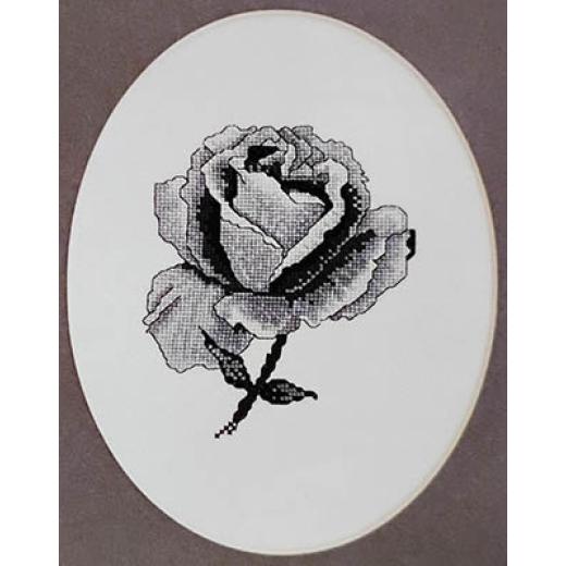 Xs and Ohs - Black Rose