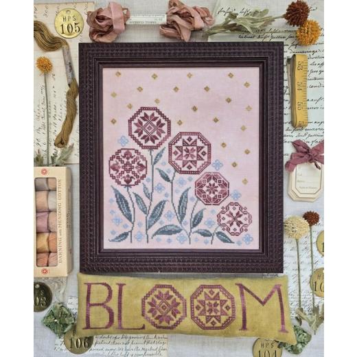 Hello From Liz Mathews - Blooming Quakers