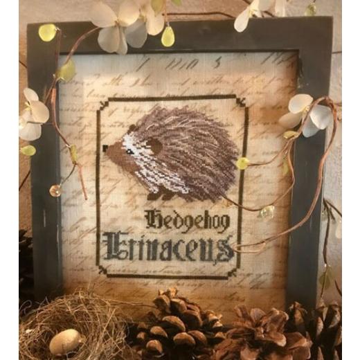 Primitive Hare - Hedgehog - Spirits Of The Woods