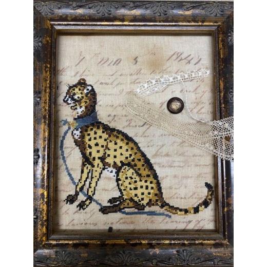 The Primitive Hare - Kitty Kitty
