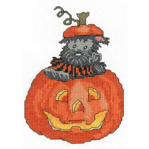 Imaginating - Scottie Pumpkin