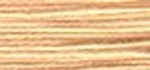 Stickgarn Oehlenschläger (Blumengarn) - Farbe 220