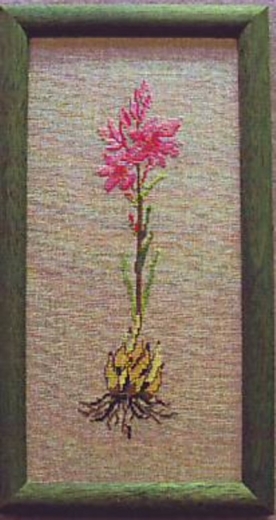 Stickpackung Oehlenschläger - Lilie 17x35 cm