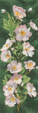 Heritage Crafts Stickpackung - Dog Rose Panel (Ausverkauf)