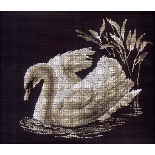 RTO - Swan
