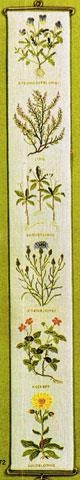 Haandarbejdets Fremme - Band Wildblumen
