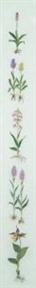 Haandarbejdets Fremme - Band Orchideen