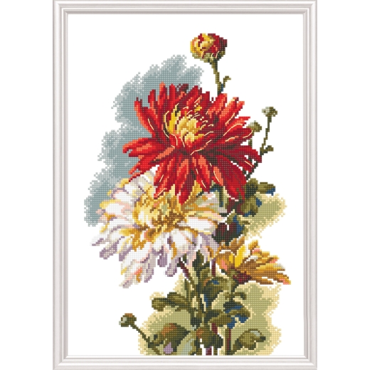 RTO Stickpackung - Chrysanthemum