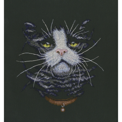 RTO - Cats Favourite (Stickpackung)