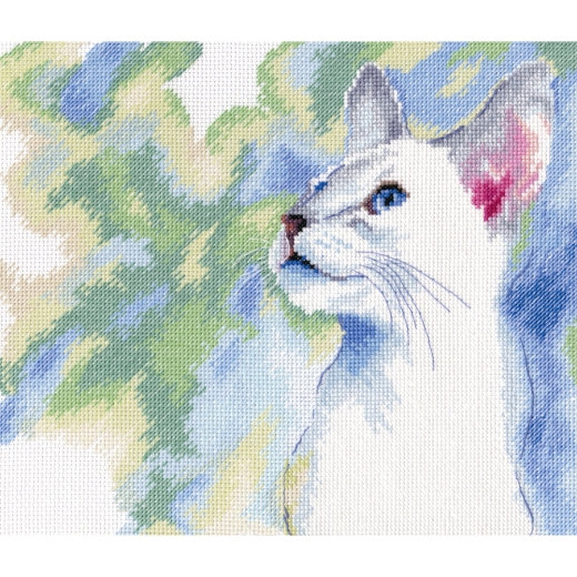 RTO - Feline Grace
