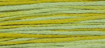 Weeks Dye Works - Pistachio