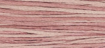 Charlottes Pink - Weeks Dye Works