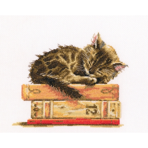 RTO - Cats Dream