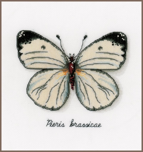 Vervaco Verachtert - Stickbild LVM Weißer Schmetterling