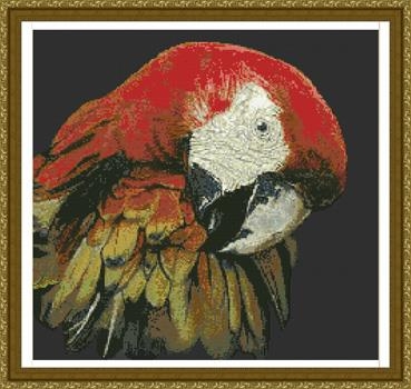 Stickvorlage Kustom Krafts - Macaw (Ausverkauf)