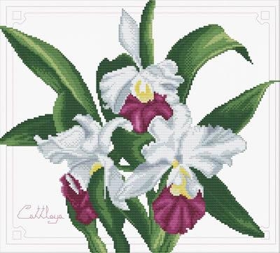 Stickpackung Needleart World - Bouquet of Orchids