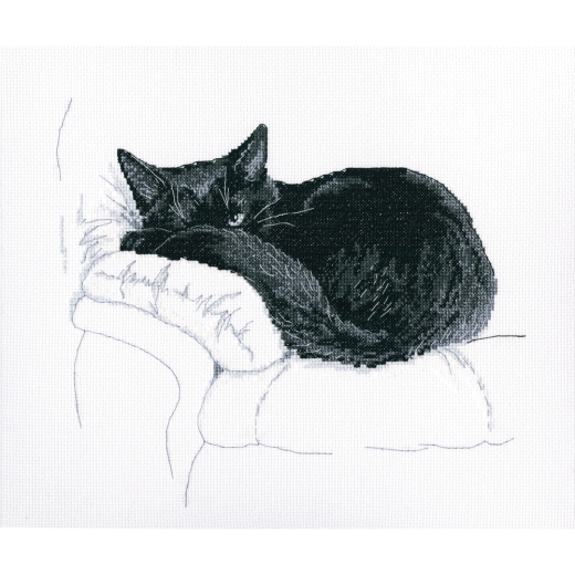 RTO - Among Black Cats