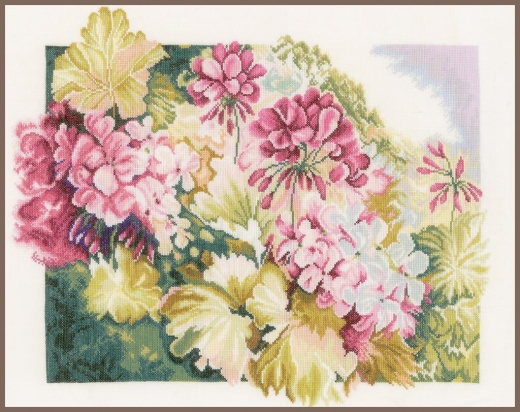 Lanarte - Gerariums