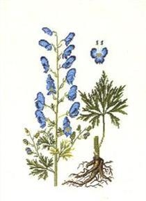 Haandarbejdets Fremme - Blauer Eisenhut
