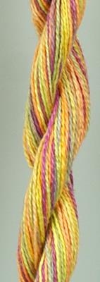 Yellow Fever - Caron Wildflowers 049