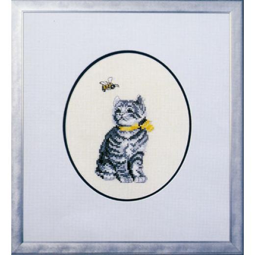 Oehlenschläger - Katze