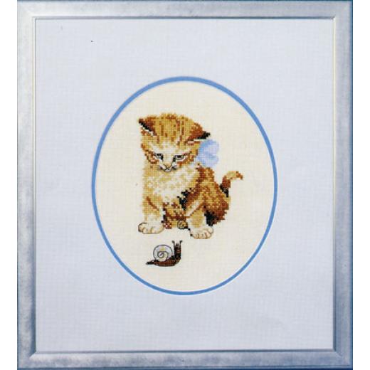 Oehlenschläger - Katze