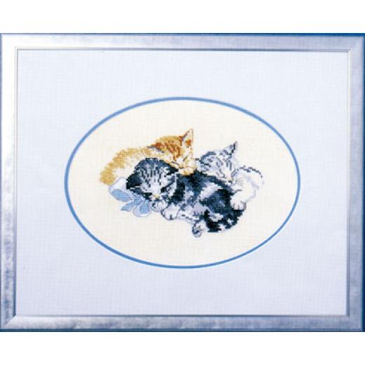 Oehlenschläger - Katzen