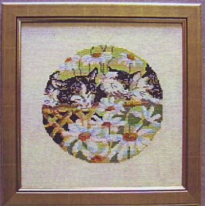 Stickpackung Oehlenschläger - Katze im Margeritenfeld 25x25 cm