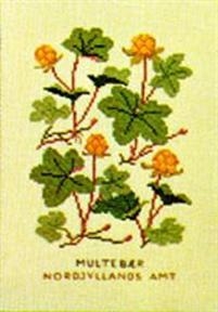 Fremme - Moltebeeren (Stickpackung)