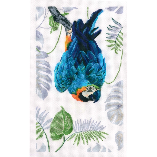 RTO Stickpackung - Macaw