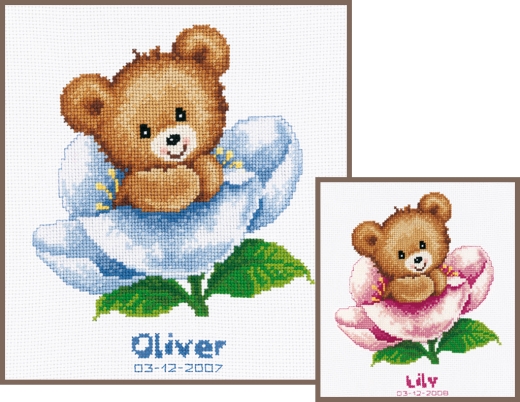 Vervaco Verachtert - Geburtsbild Teddy