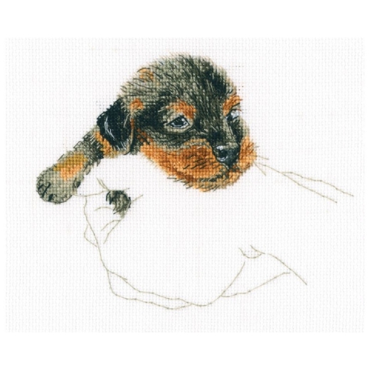 RTO - In Palms - Dog (Stickpackung)