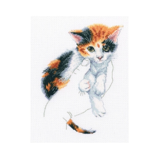 RTO - In Palms - Kitten