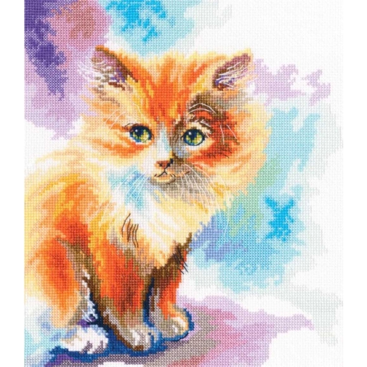 RTO - Sunny Kitten