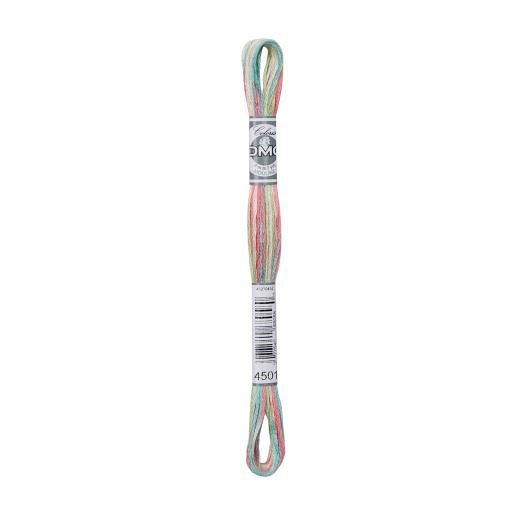 DMC Coloris - 4501 Fleurs des champs