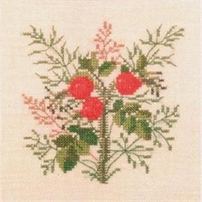 Fremme - Rosa Rugosa (Stickpackung)