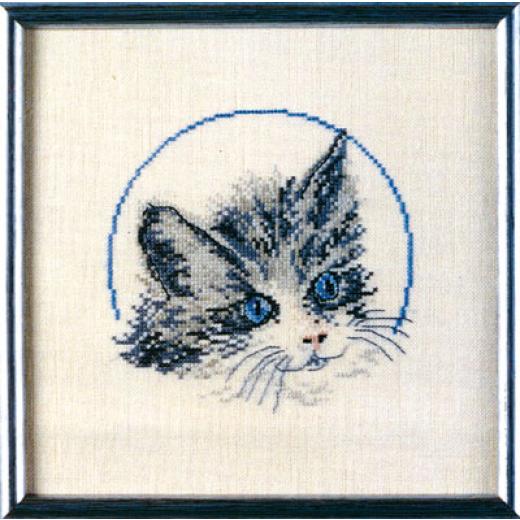 Oehlenschläger - Graue Katze